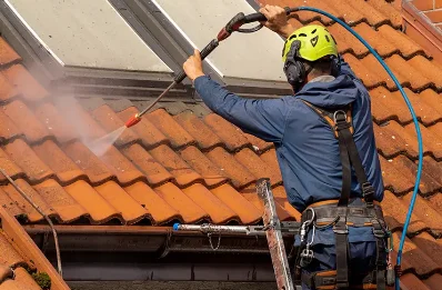 Démoussage et hydrofuge de toiture à Vereux
